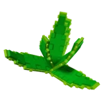 grow-a-garden-aloe-vera
