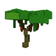 grow-a-garden-cacao