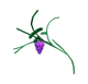grow-a-garden-grape