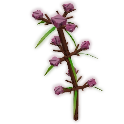 Speargrass