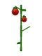 grow-a-garden-tomato